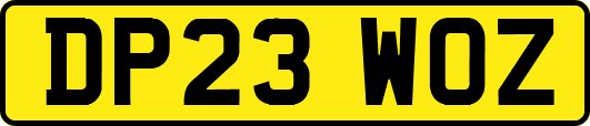 DP23WOZ