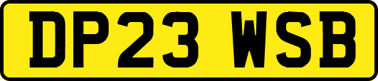 DP23WSB