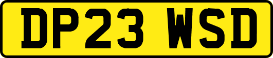 DP23WSD