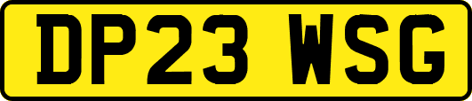 DP23WSG