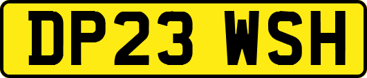 DP23WSH
