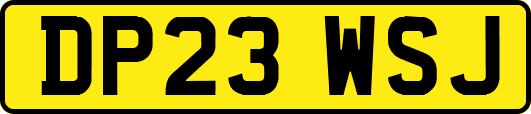 DP23WSJ