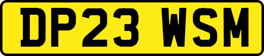 DP23WSM