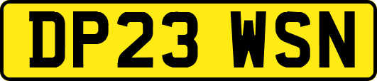 DP23WSN