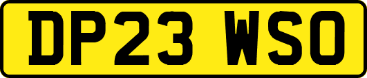 DP23WSO