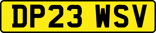 DP23WSV