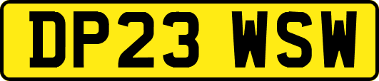 DP23WSW