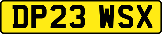 DP23WSX