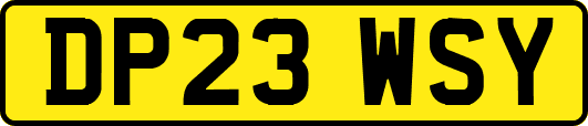DP23WSY