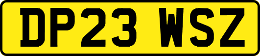 DP23WSZ