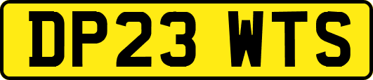 DP23WTS