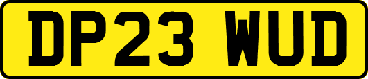 DP23WUD