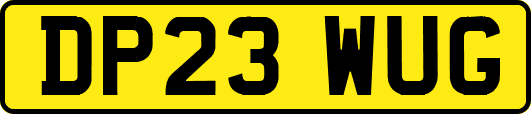 DP23WUG