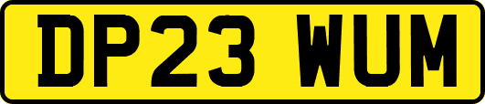 DP23WUM