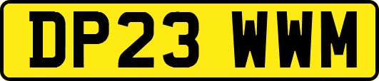 DP23WWM