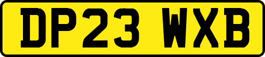 DP23WXB
