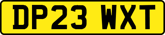 DP23WXT