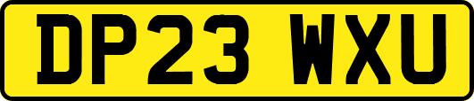 DP23WXU