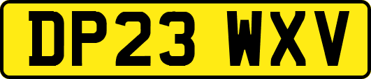 DP23WXV