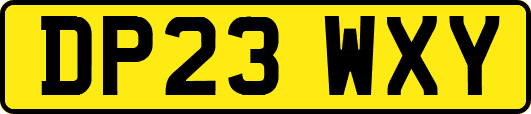 DP23WXY