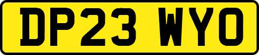 DP23WYO