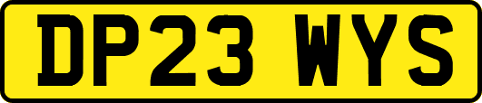 DP23WYS