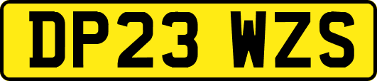 DP23WZS