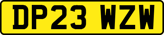 DP23WZW