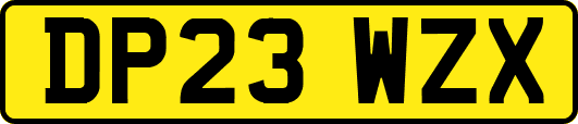 DP23WZX