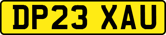 DP23XAU