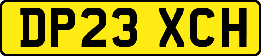 DP23XCH