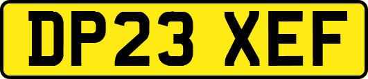DP23XEF