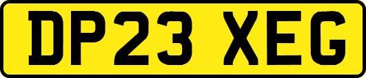 DP23XEG