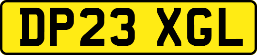 DP23XGL