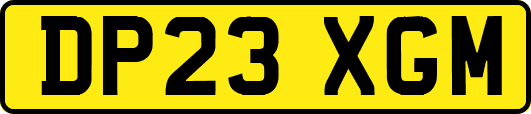 DP23XGM