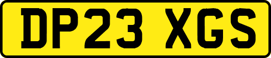 DP23XGS