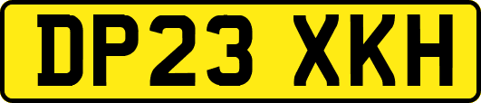 DP23XKH