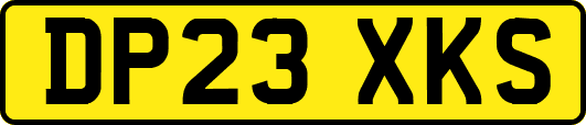 DP23XKS