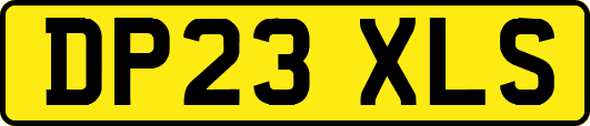 DP23XLS