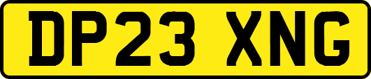 DP23XNG