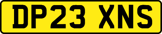 DP23XNS