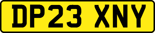 DP23XNY