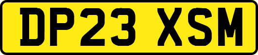 DP23XSM