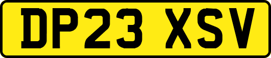DP23XSV