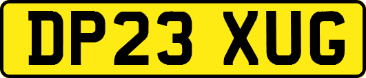 DP23XUG