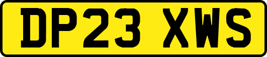 DP23XWS