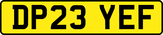 DP23YEF