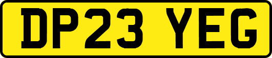 DP23YEG