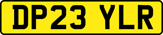 DP23YLR