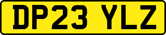 DP23YLZ
